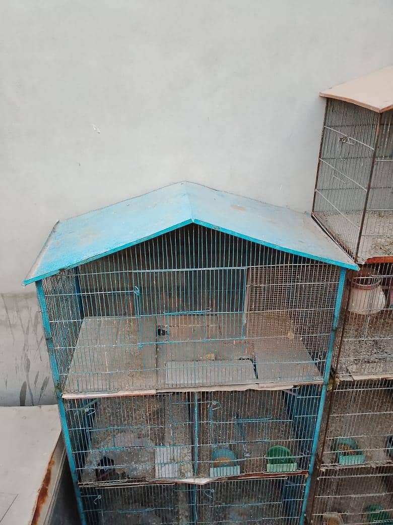 5 portion cage 1