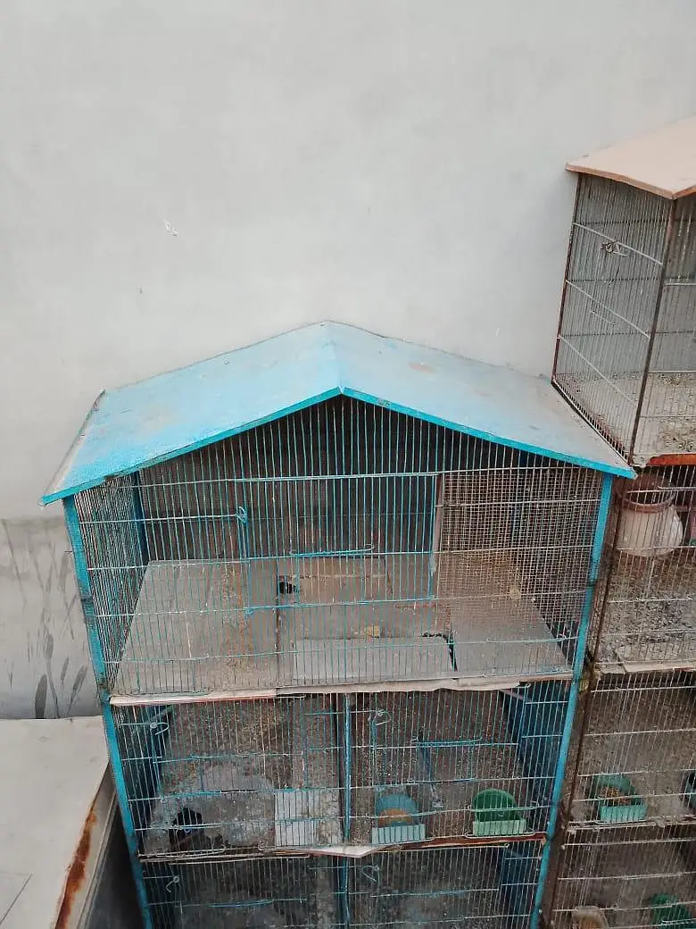 5 portion cage — photo 2