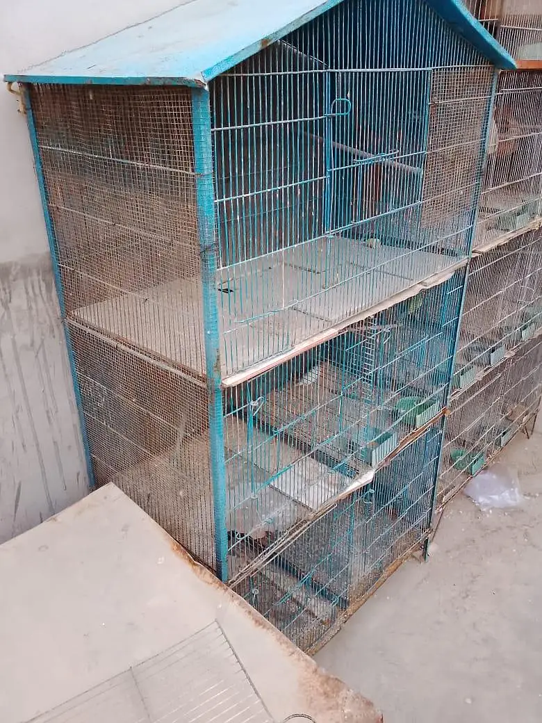 5 portion cage — photo 5