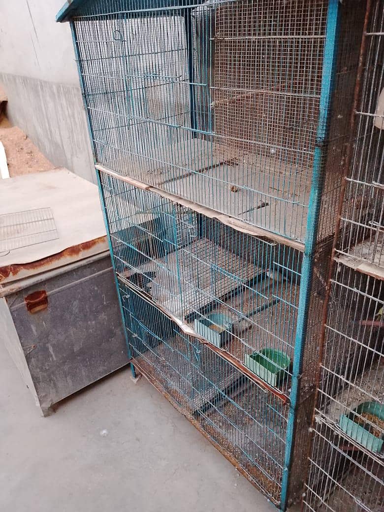 5 portion cage 5