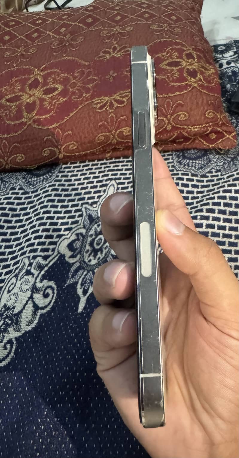 Apple iPhone 13 Pro Max 3