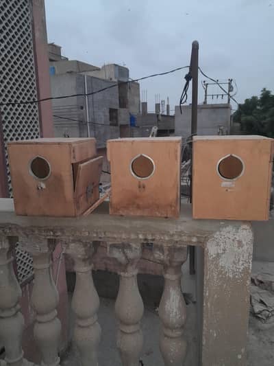Budgies Breeding Nesting Box – 3 Pieces