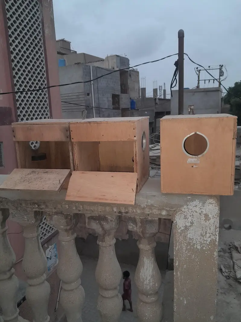 Budgies Breeding Nesting Box – 3 Pieces — photo 2