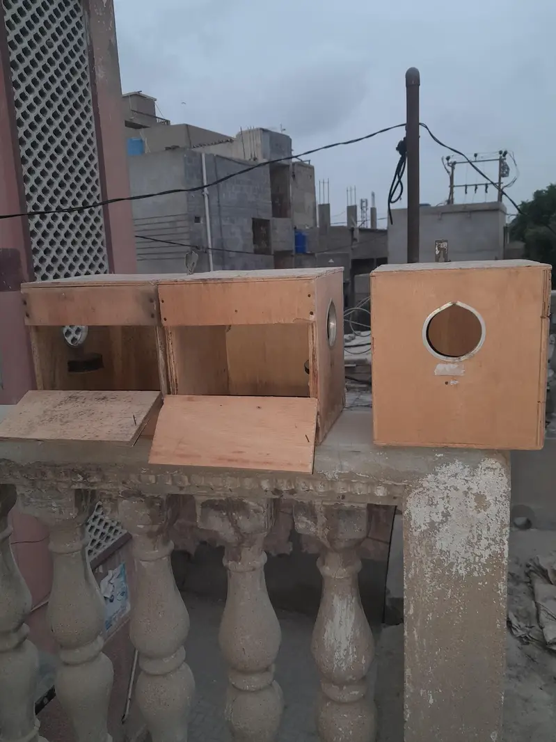 Budgies Breeding Nesting Box – 3 Pieces — photo 5