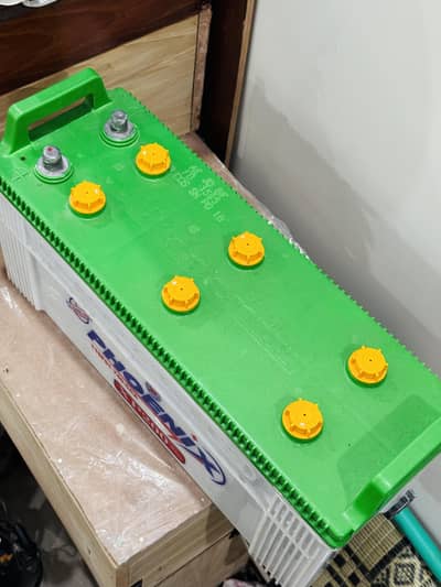 Phoenix 21-Plate Battery