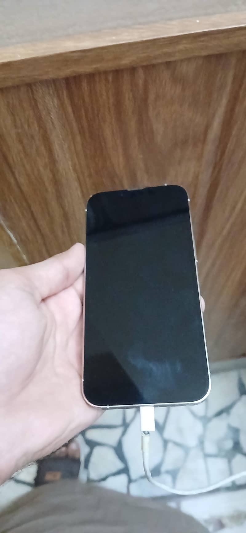 Apple iPhone 13 1