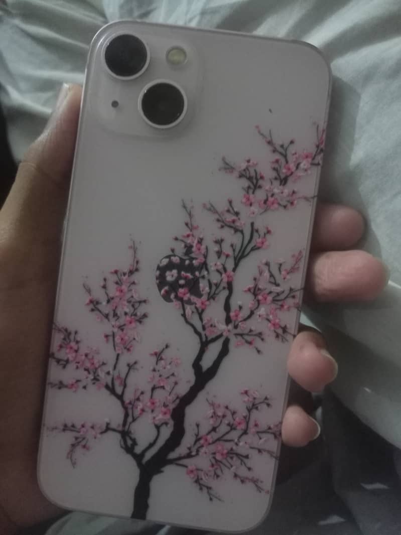 Apple iPhone 13 0