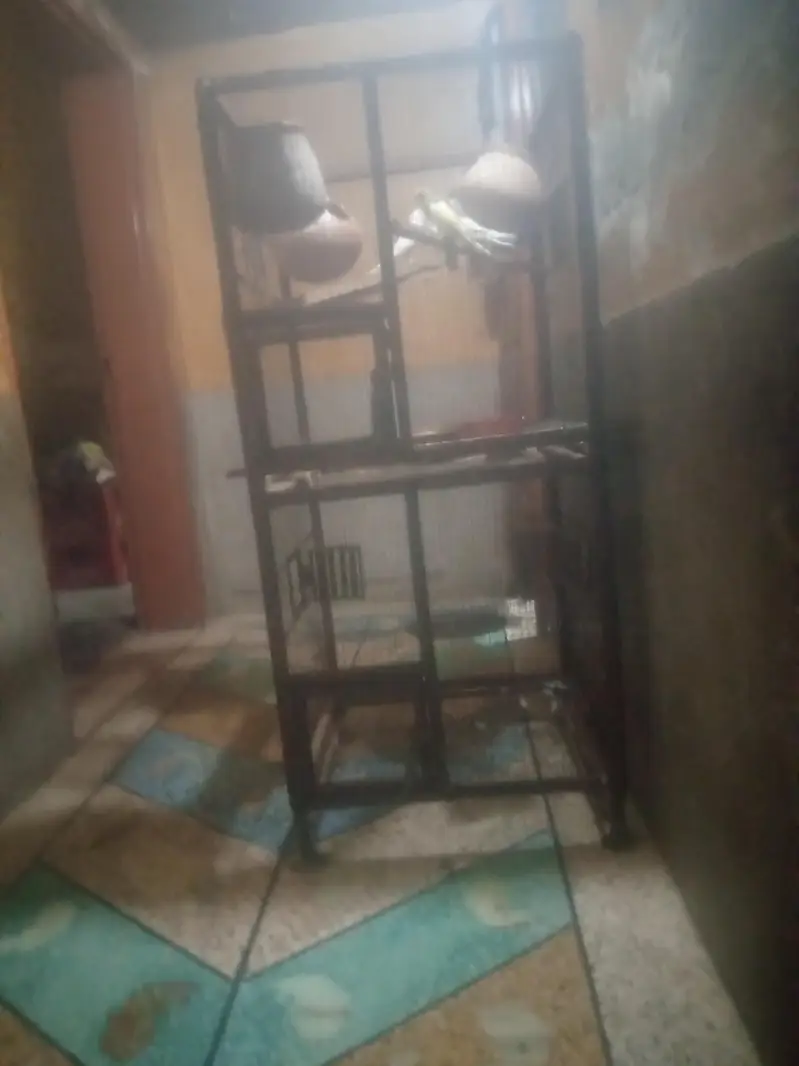 pengra or parrats frohat karnay ha — photo 6