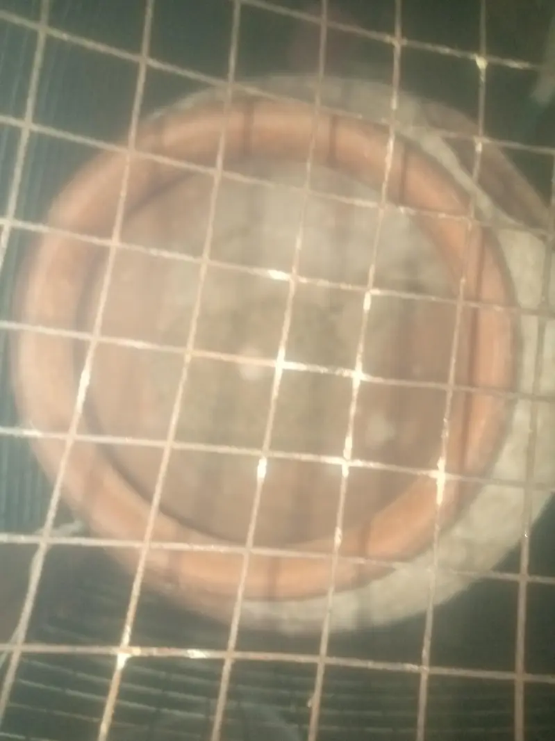 pengra or parrats frohat karnay ha — photo 11
