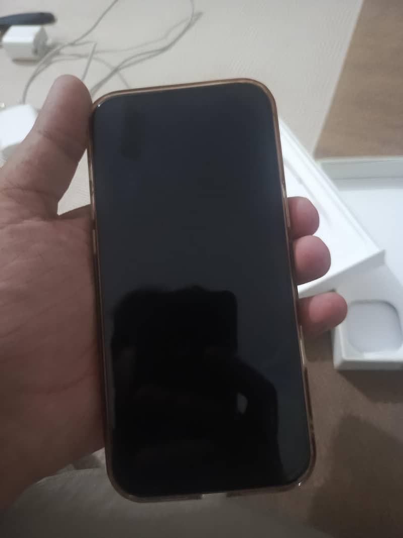 Apple iPhone 16 Pro Max 1