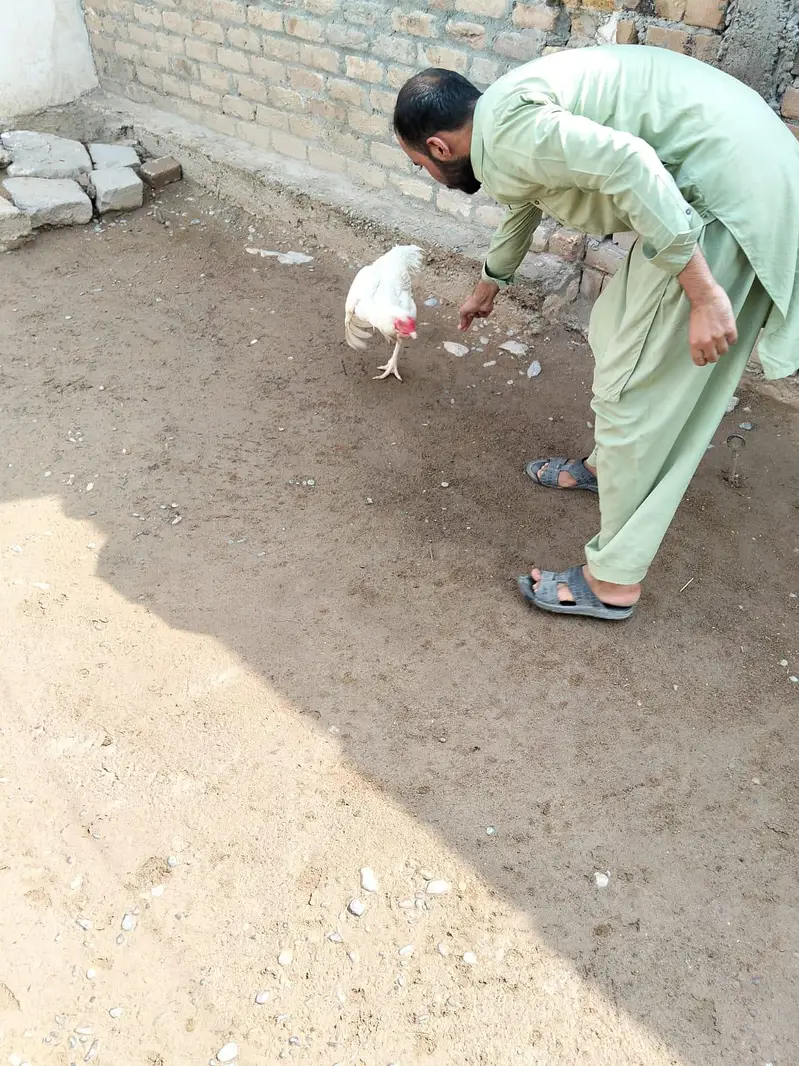 heera — photo 3