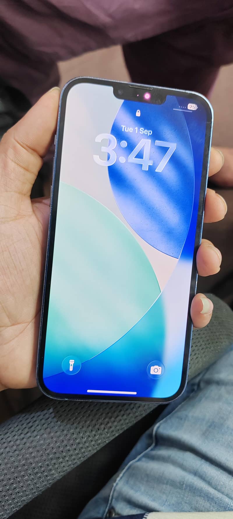 Apple Iphone 13 Pro Max 5