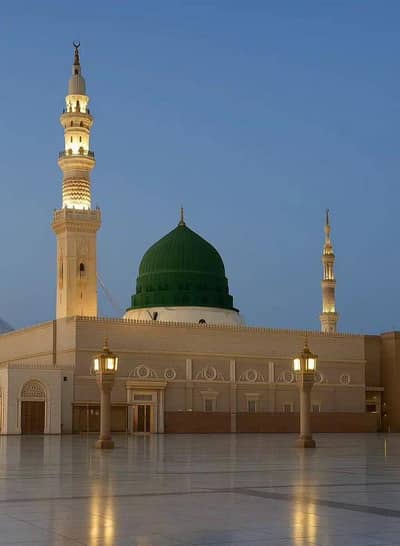 Syed  Ali 