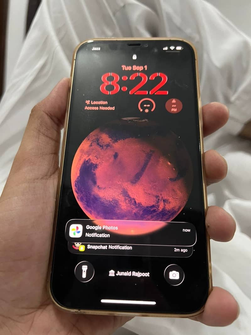 Apple iPhone 12 Pro Max 1