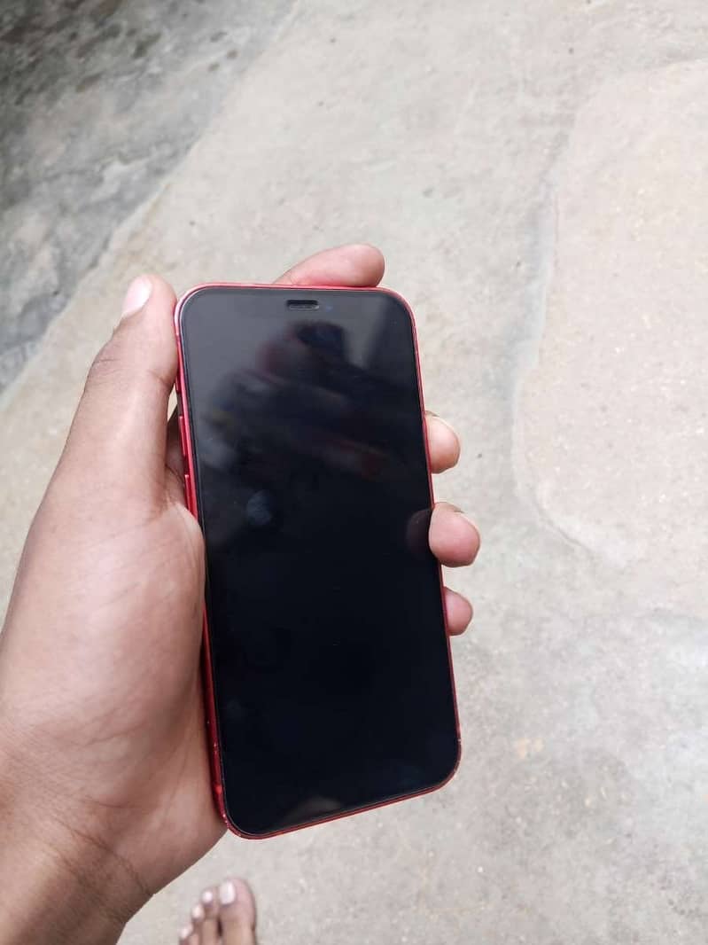 Apple iPhone 12 mini 1
