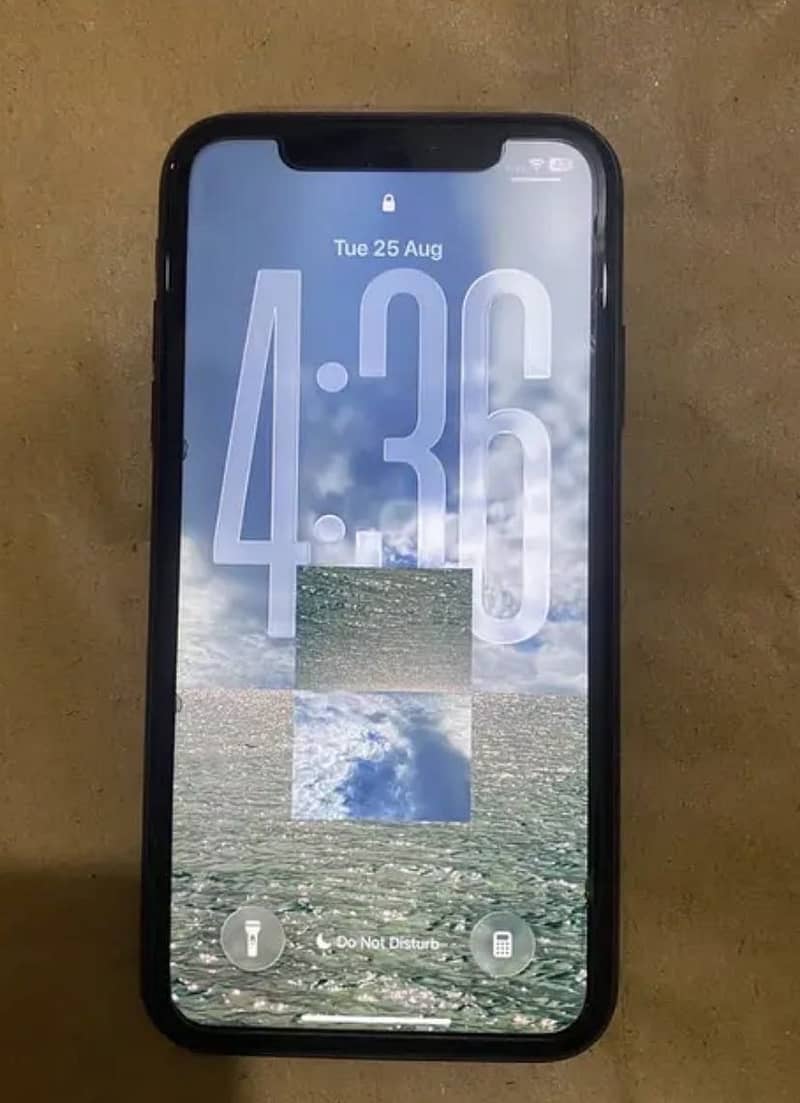 Apple iPhone 11 1