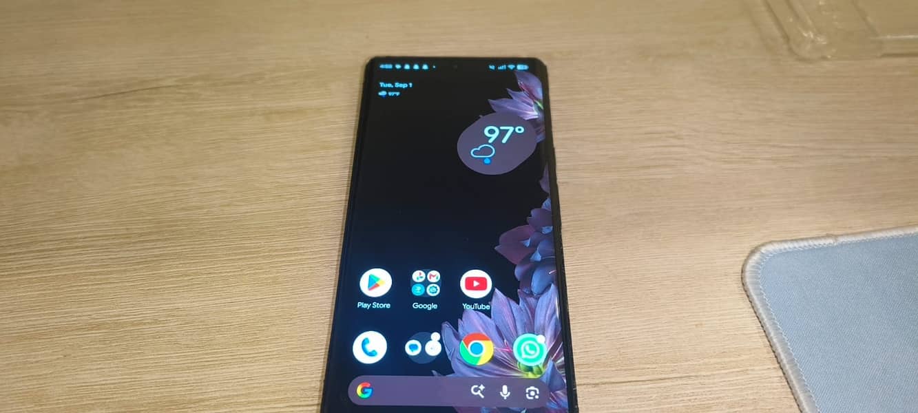 Google Pixel 6 Pro 1