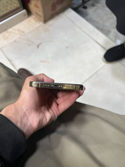 Apple iPhone 12 Pro Max