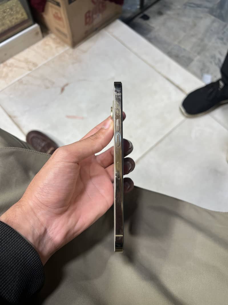 Apple iPhone 12 Pro Max 2
