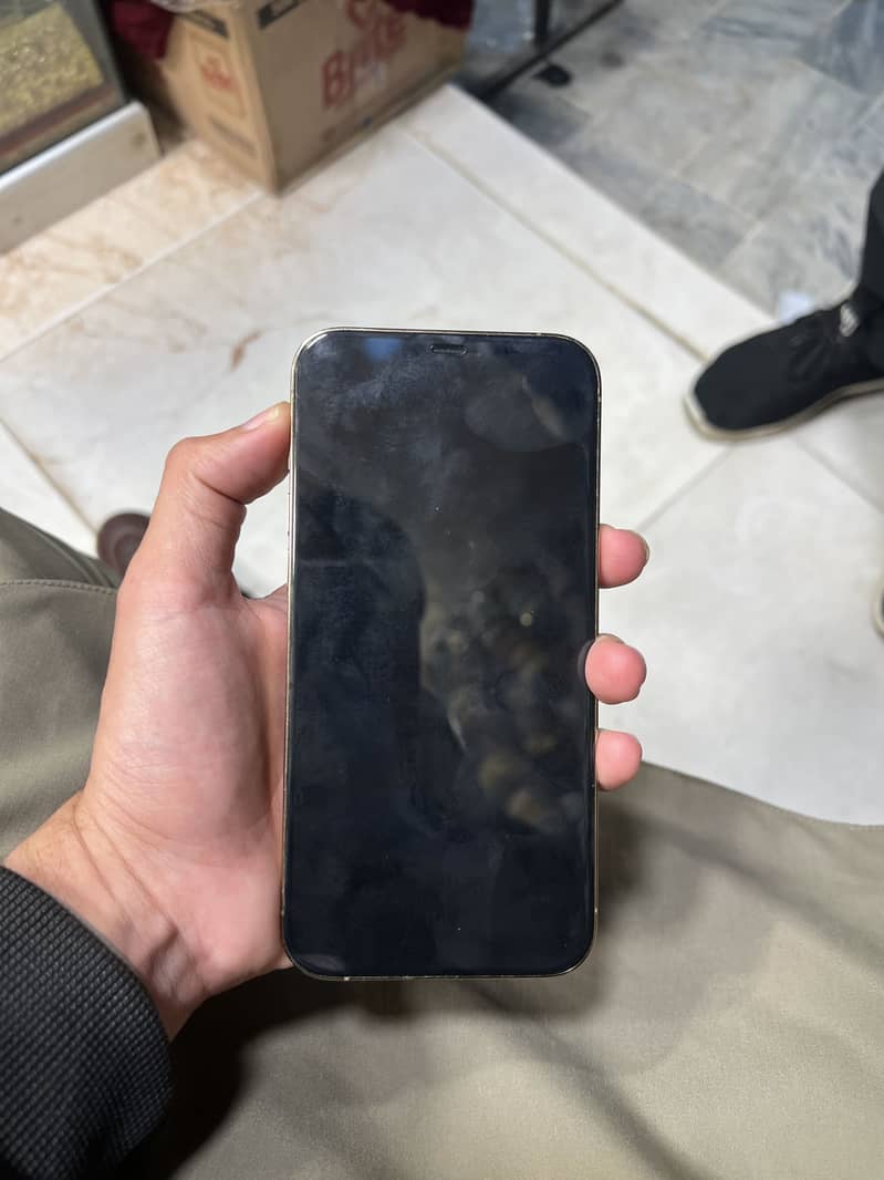 Apple iPhone 12 Pro Max 5