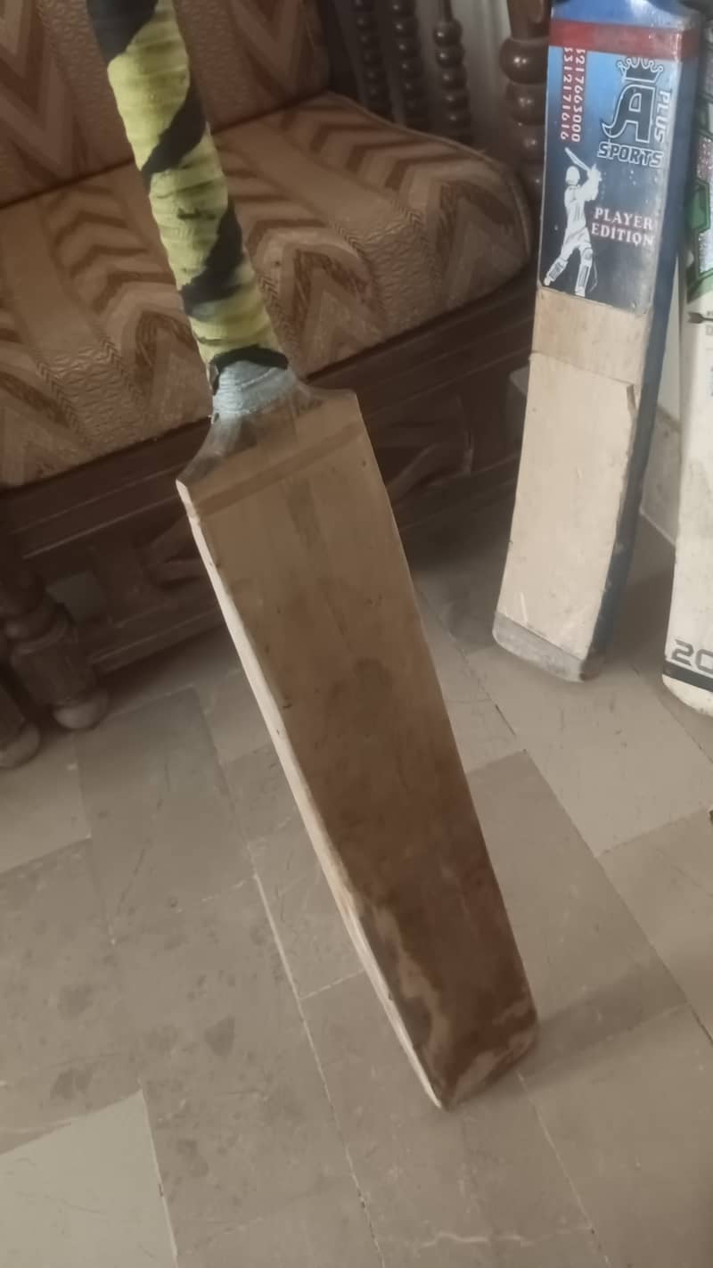Cricket Bat 1