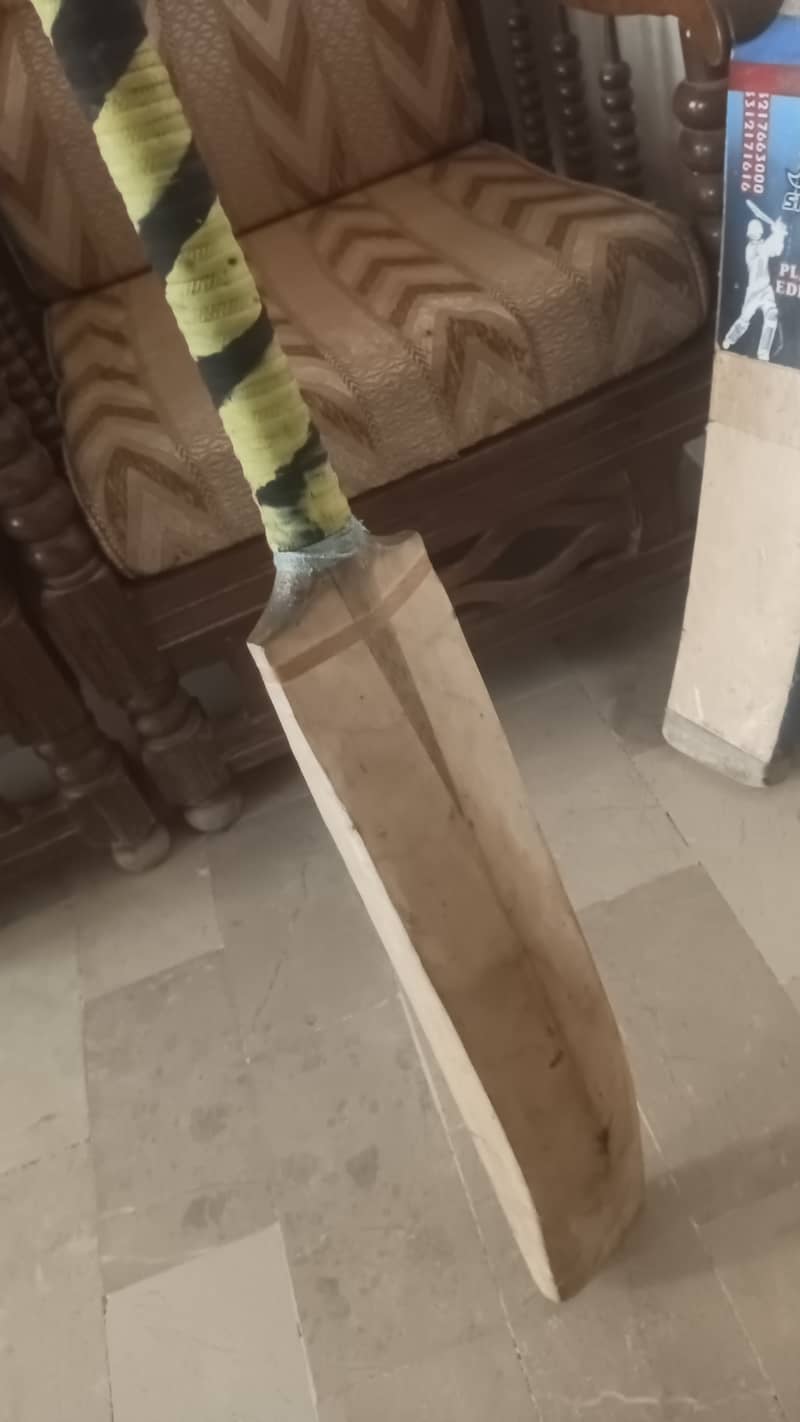 Cricket Bat 2