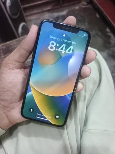 Apple iPhone X