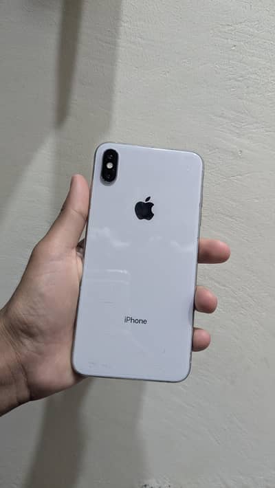 Apple iPhone XS Max 10 by 10 256 gb  87 btry health jenmen waterpack