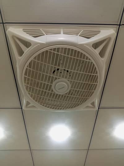 Voldam Ceiling Fan for Sale