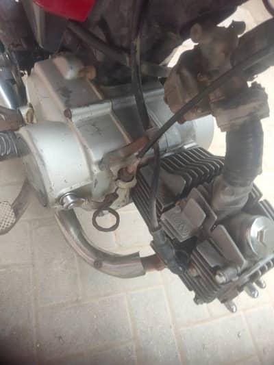 Unique Xtreme UD 70 2024