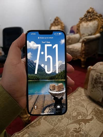 Apple iPhone 13 Pro Max