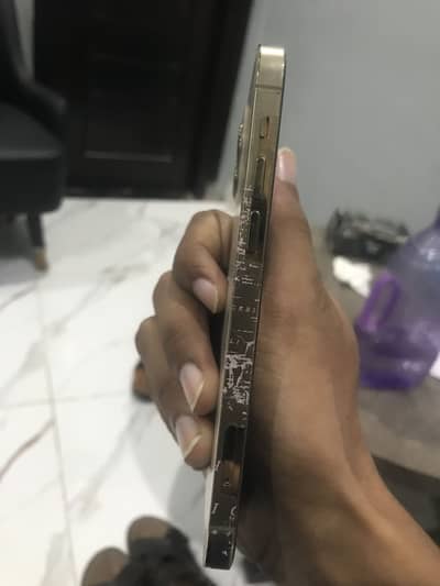 Apple iPhone 12 Pro