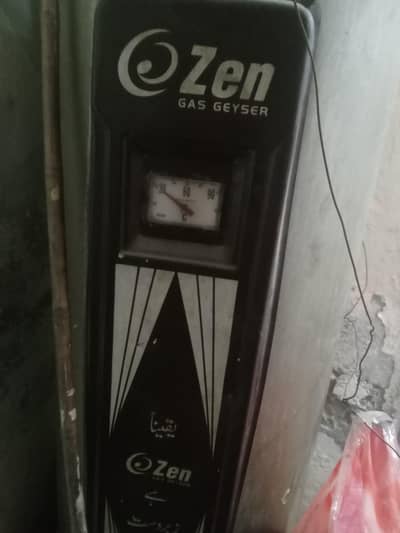 citizen hybrid (gas and electric)gyser