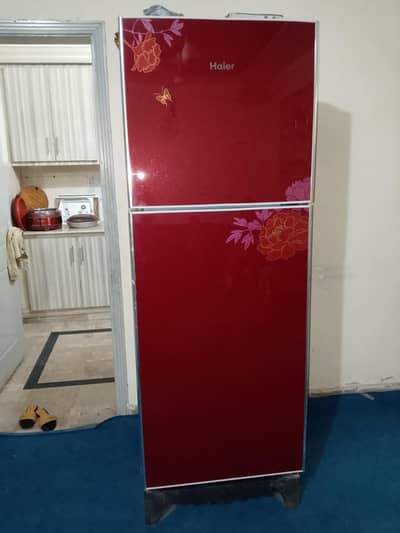 Hair Full Size Refrigerator