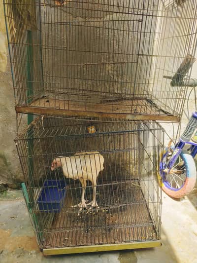 2 iron cages for sale