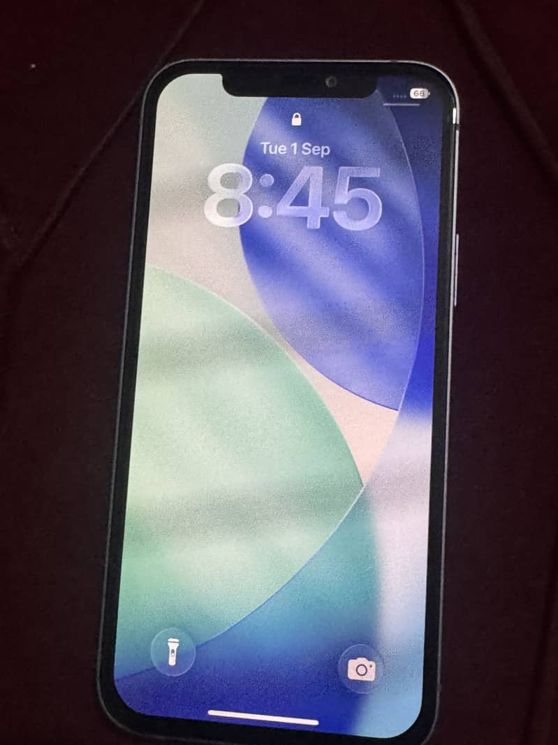 Apple iPhone 12 1