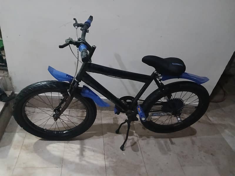 Bicycle 1