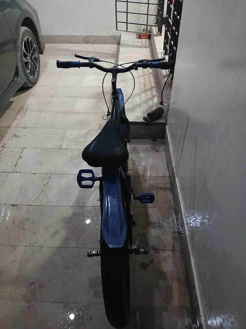 Bicycle 2