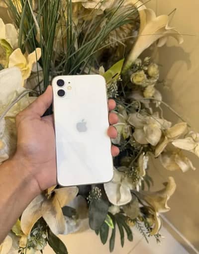 Apple iPhone 11 Everything Original