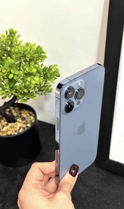 Iphone 13 pro max siera blue