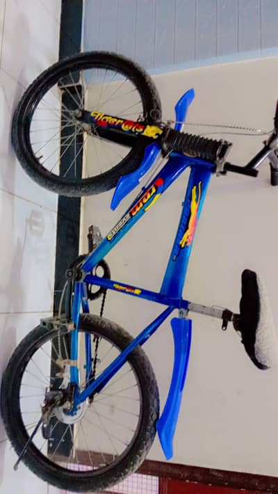 mountain bicycle