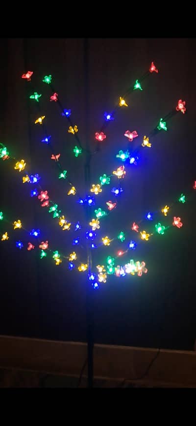 noma tree