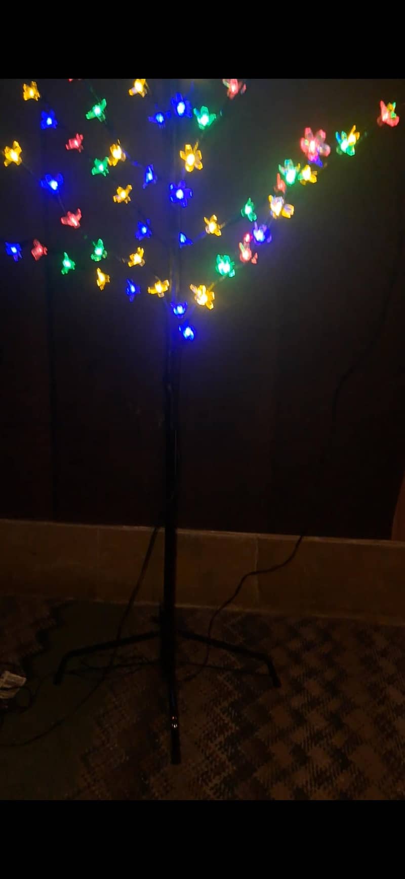 noma tree 2