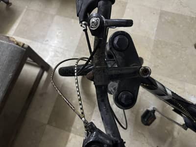 PHOENIX CYCLE