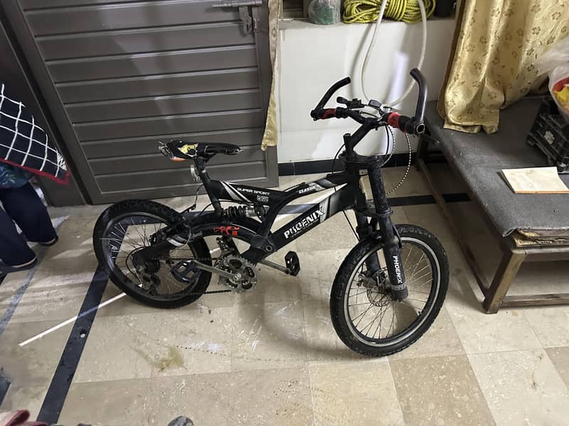 PHOENIX CYCLE 3