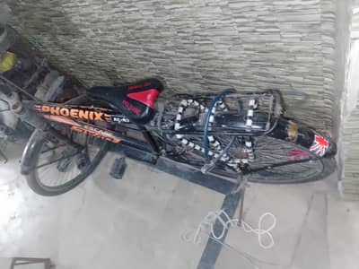 phoenix original cycle