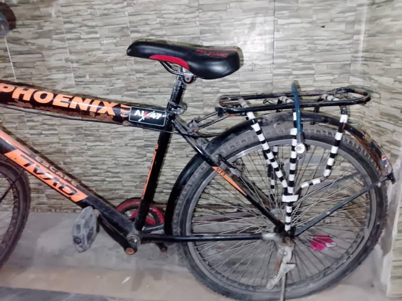 phoenix original cycle 1