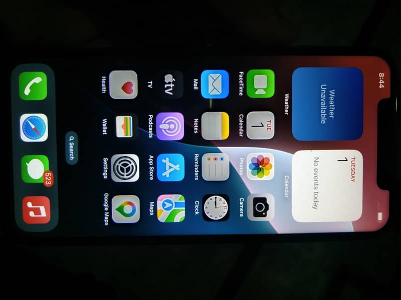 Apple iPhone XS Max 1
