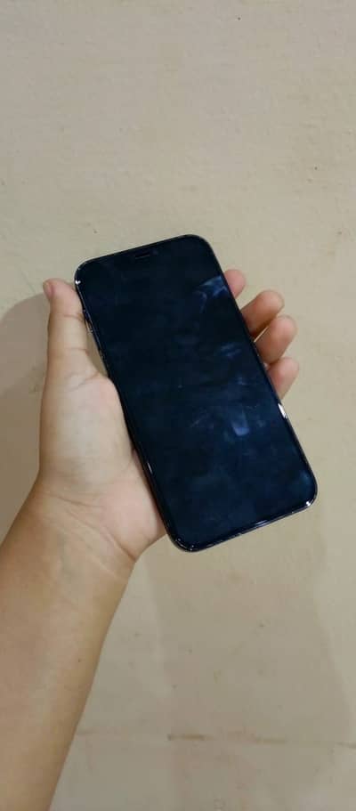 Apple iPhone 12 Pro