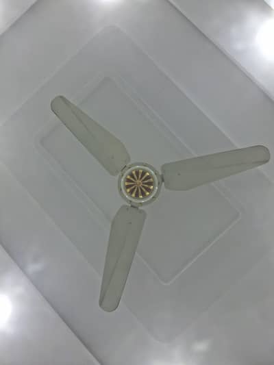 ceilling fans